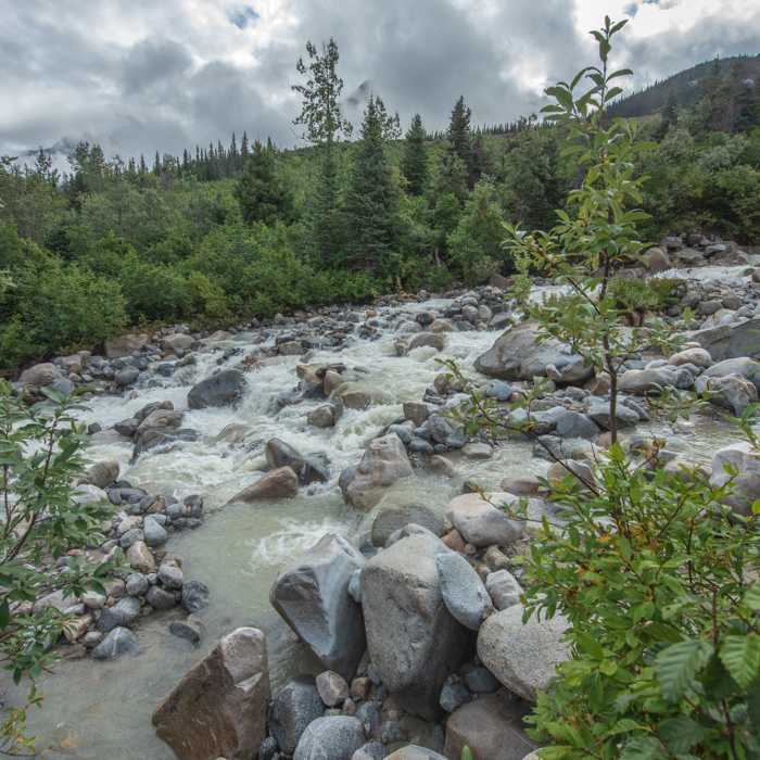 Rock moraine along Laughton Glacier trail. Near Laughton Glacier Trail