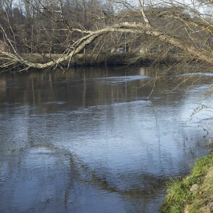 Near Longhunter Loop Trail