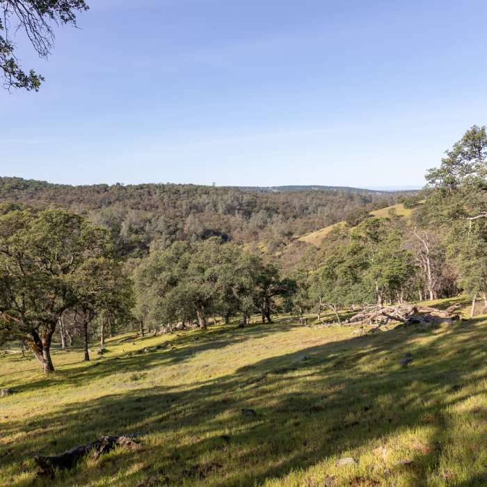 View from upper trail to Shingle Falls Near Shingle Falls