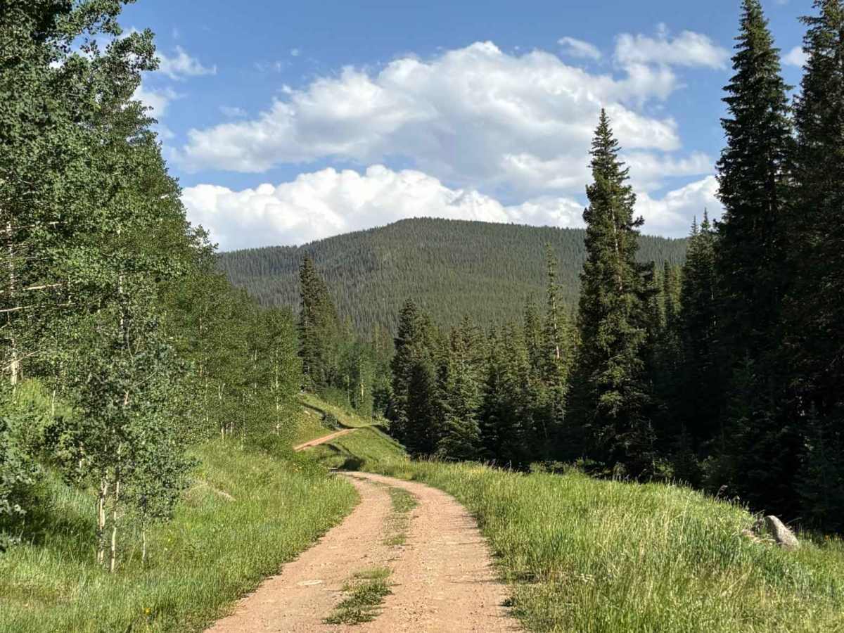 Peter Estin Hut trail photo