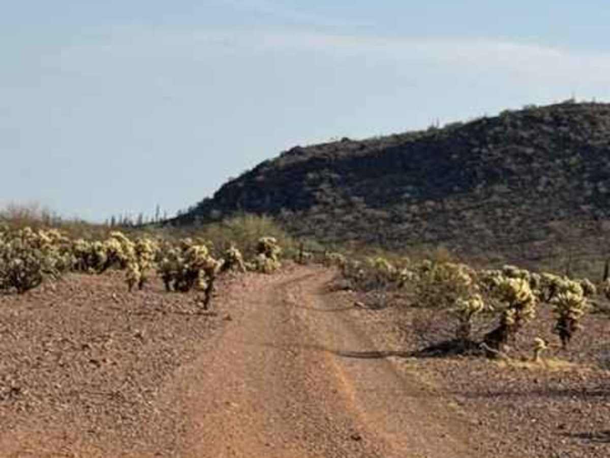 BLM 39160 photo 4