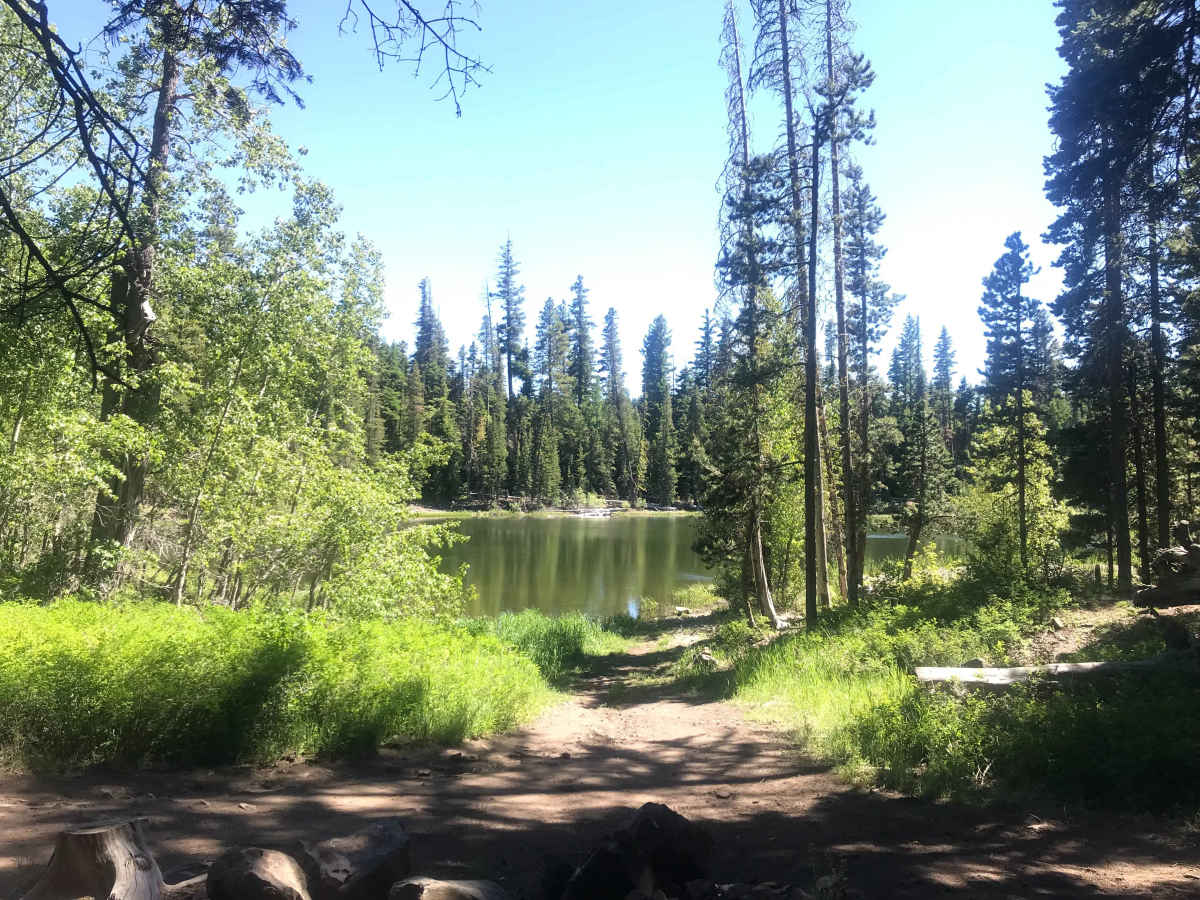 Oak Creek FR 1400 to Bear Lake photo 4