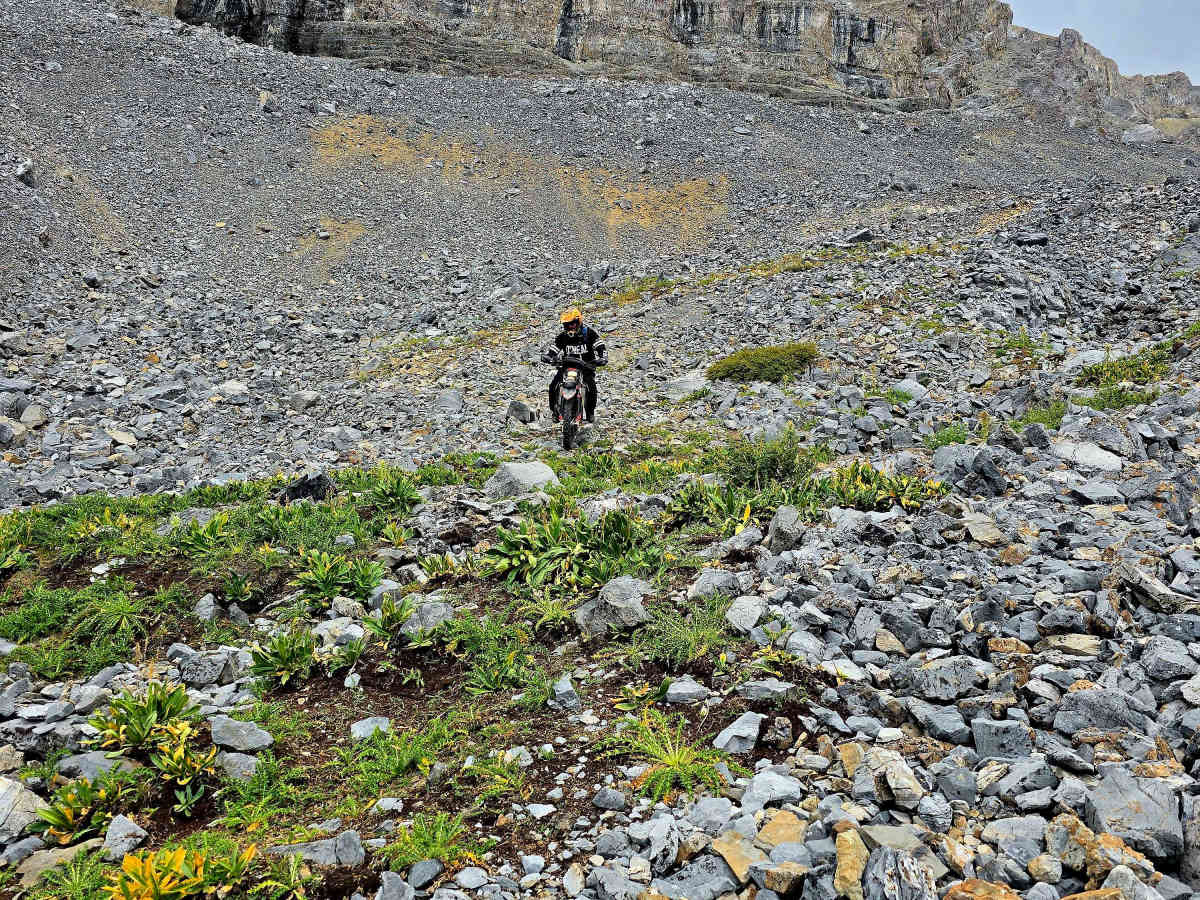Webber Creek - Divide Creek photo 5