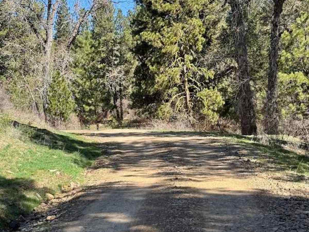 Cooke Canyon Road photo 5