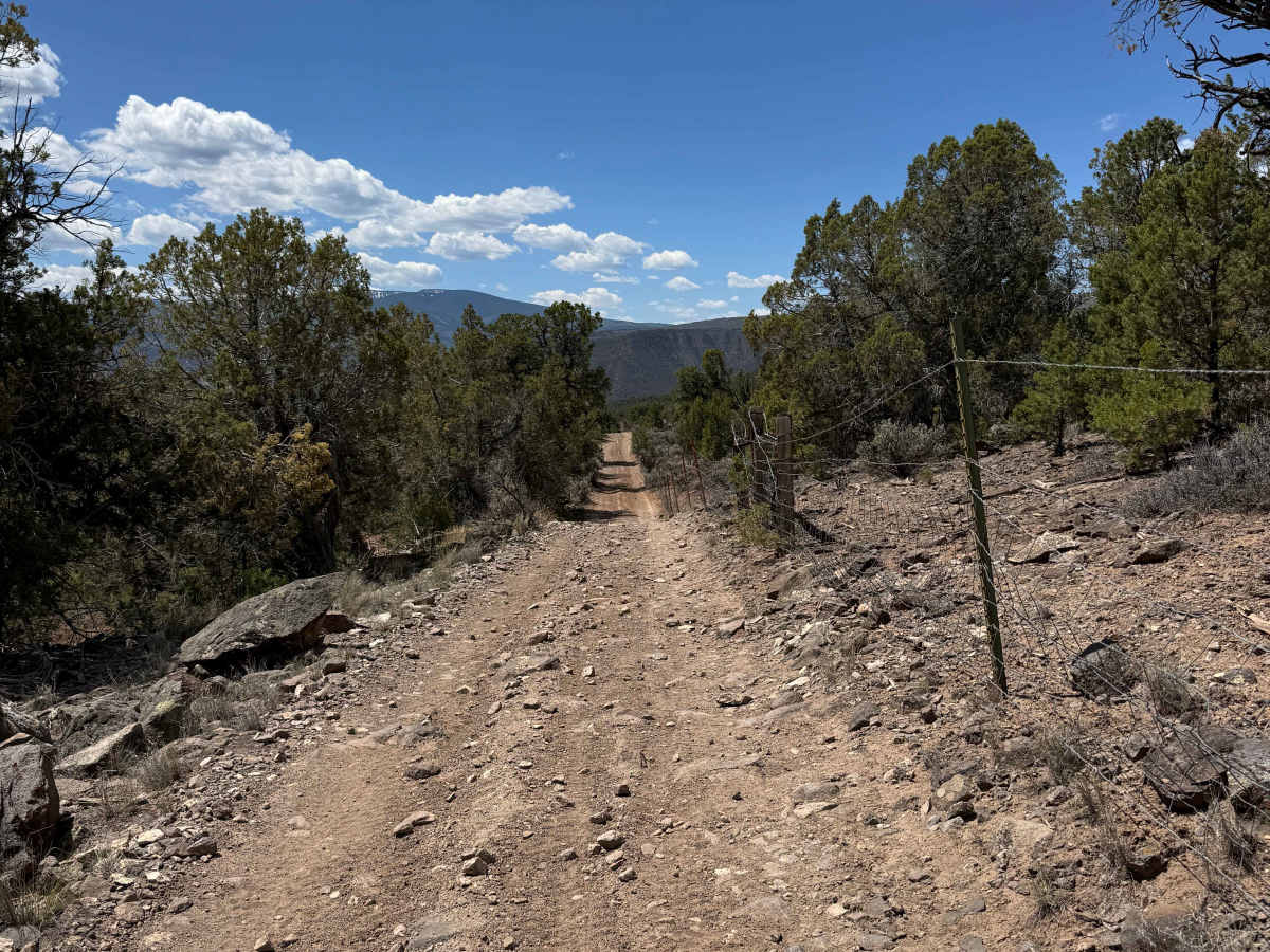 BLM 8468 photo 3