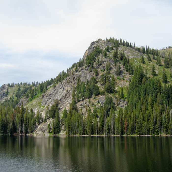 Near Boulder Lake Trail #105