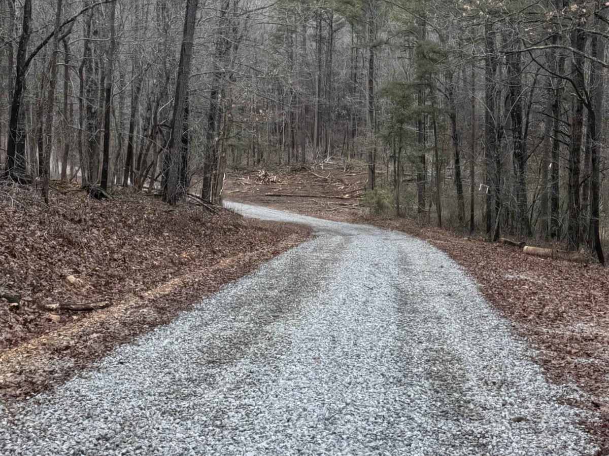 Log Lick Hollow trail photo