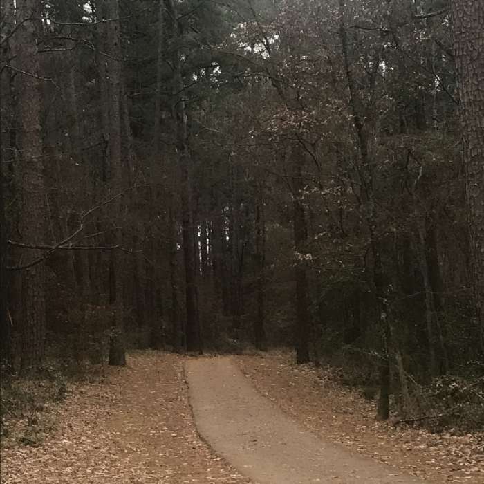 Near Julieanna Park Trail