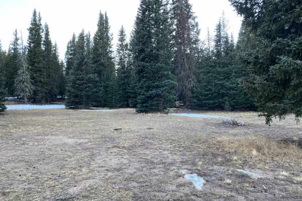 Topaz Mountain Road 446