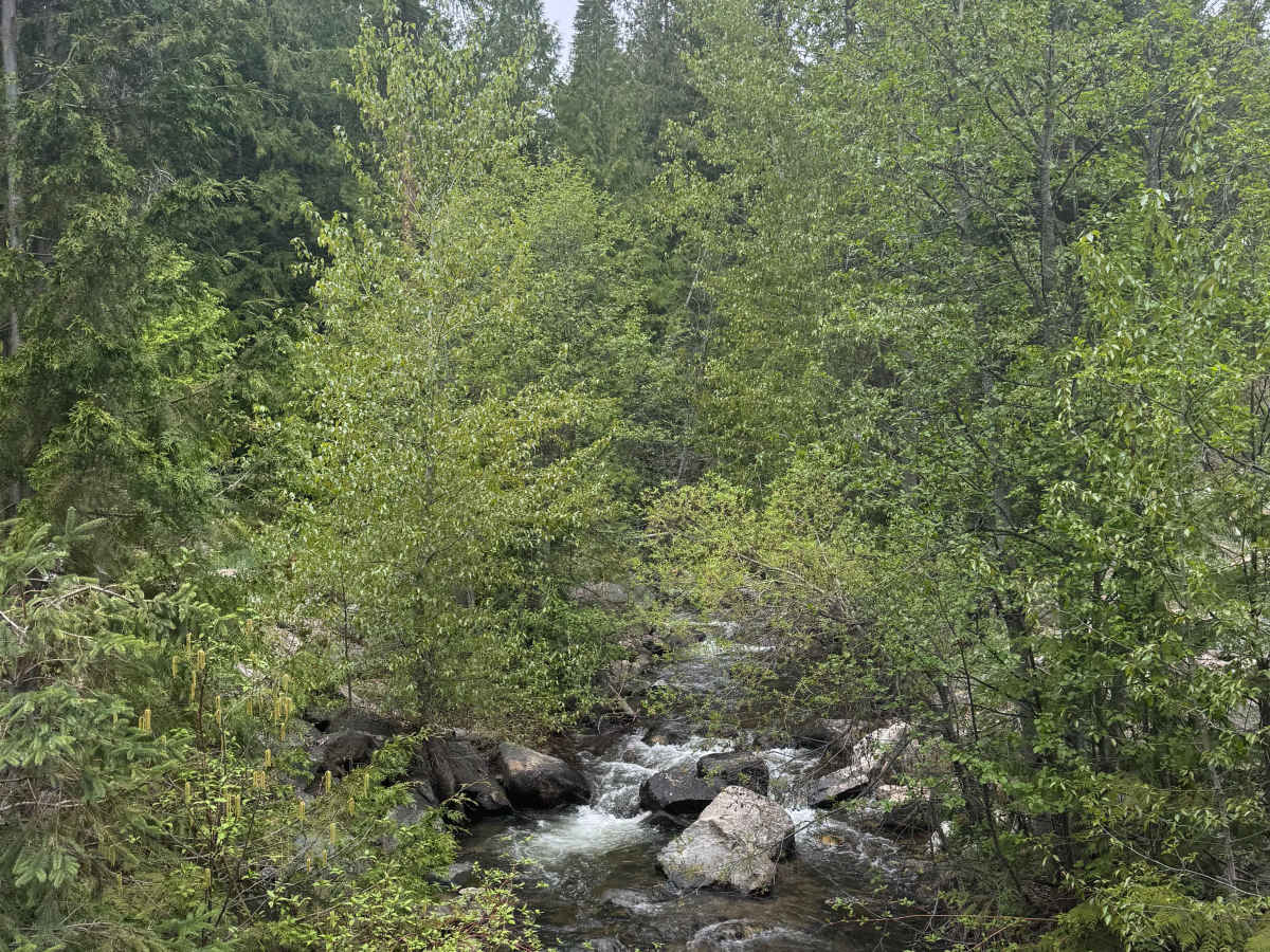 Fritz Creek - FS 2000-400 photo 2