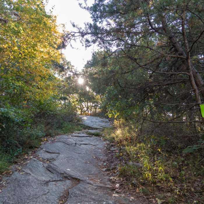 Near Yonah Mountain Near Yonah Mountain