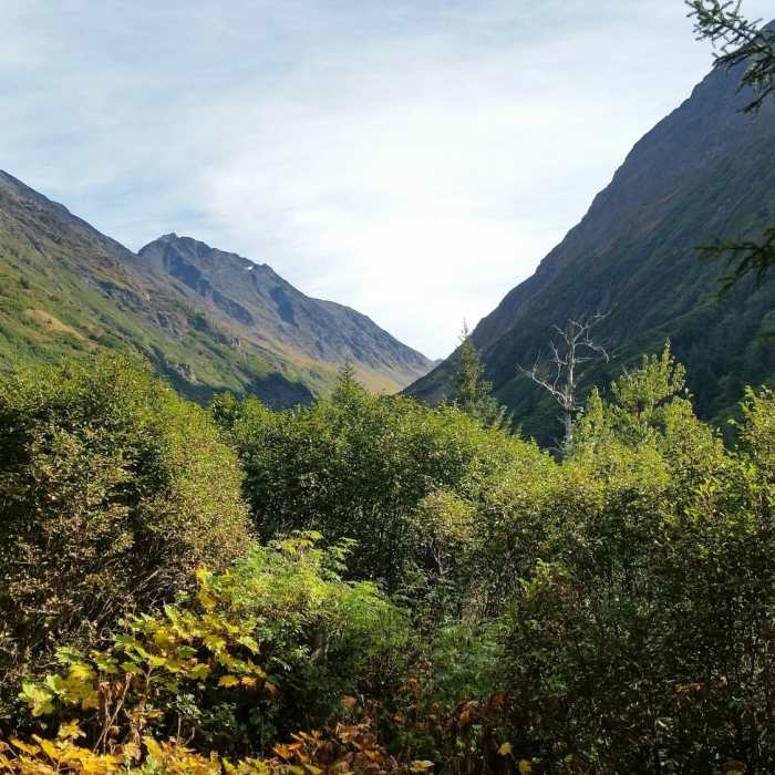 Looking up the valley on Victor Creek Trail Near Victor Creek Trail