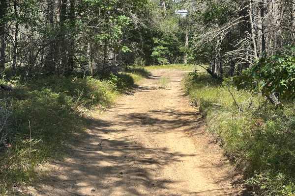 Pierce Road
