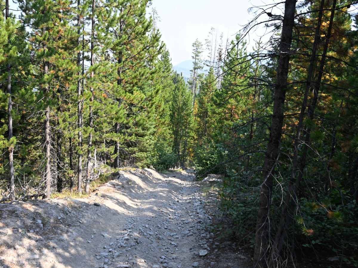Poorman Creek trail photo