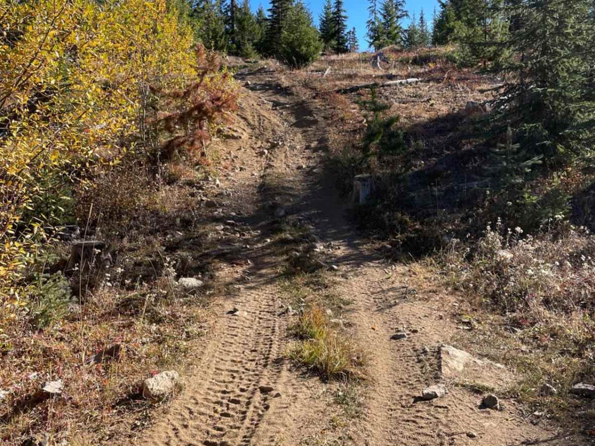 Damer Lake East photo 4