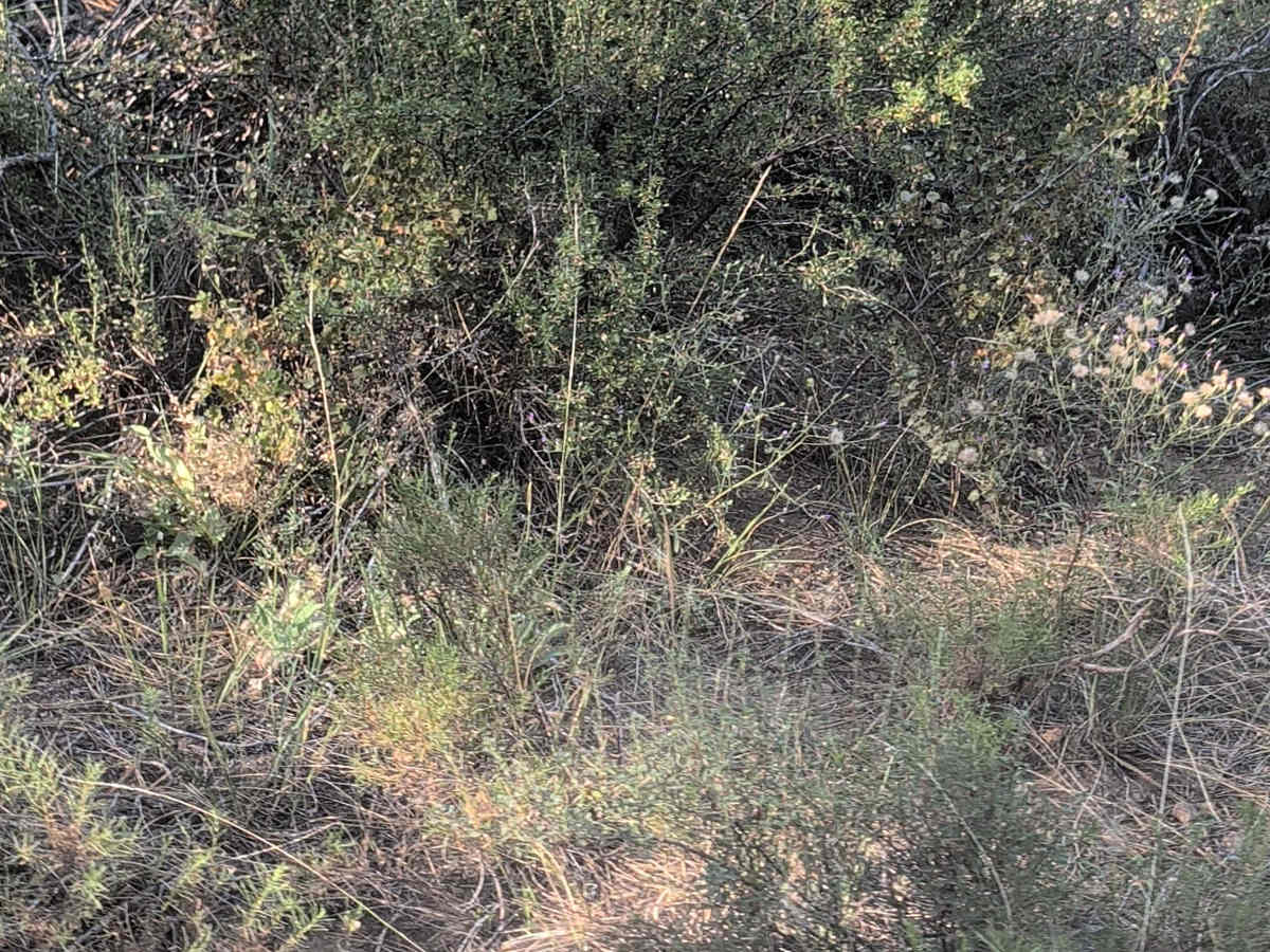 Water Spot - FS 42N28 photo 3