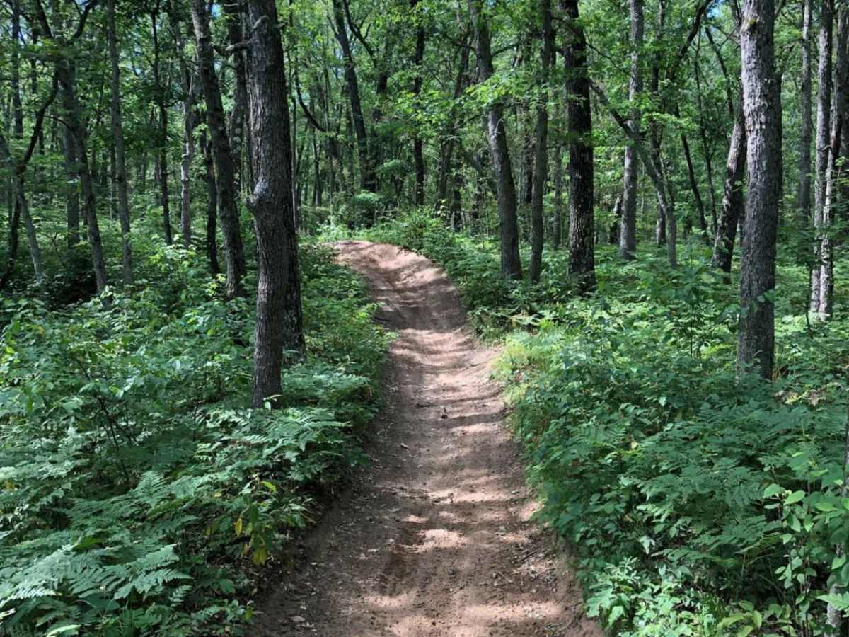 M-20 Motorsport Trail photo 5