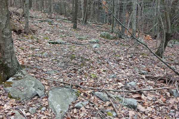 OHV 61 - Rock Run Recreation Area