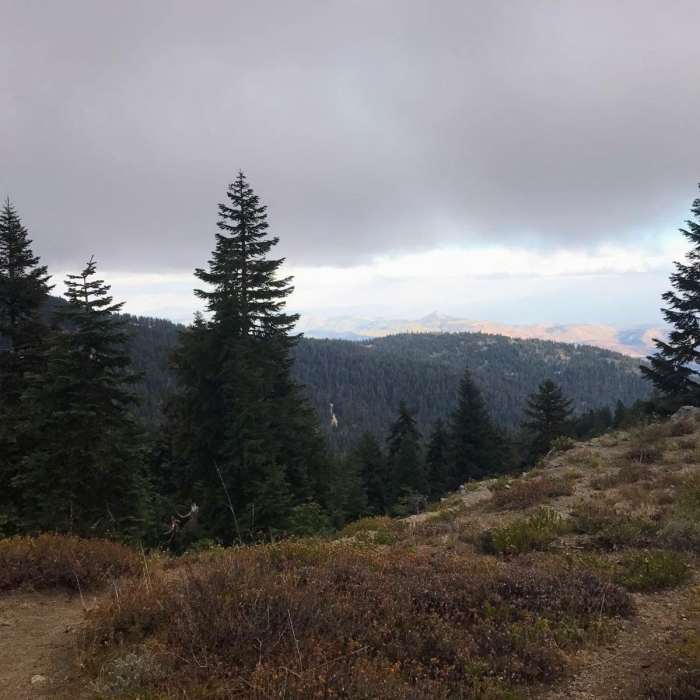 Near Bull Gap to Wrangle Gap