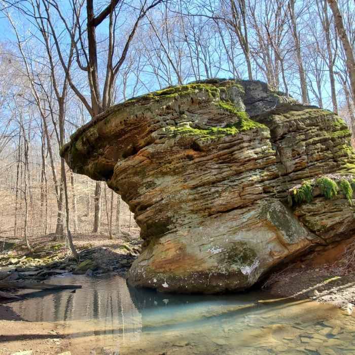 Large sandstone rock with tree growing on top alongside stream Near German Ridge: Southern Half Hike
