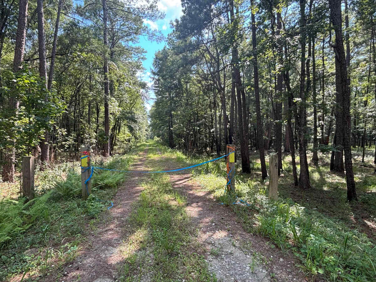 Litchfield Trail  photo 4