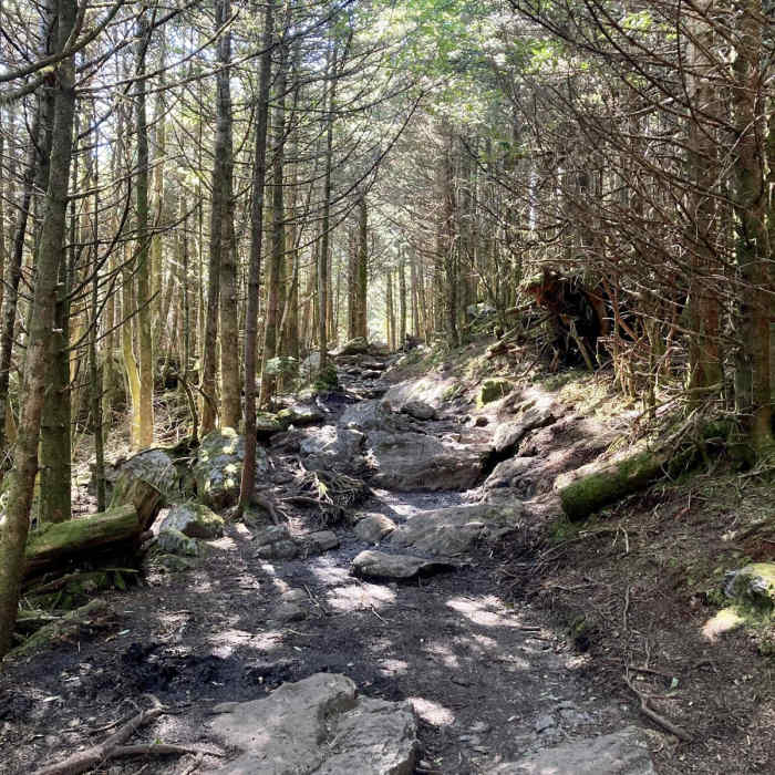 Near Roan High Bluff Near Roan High Bluff