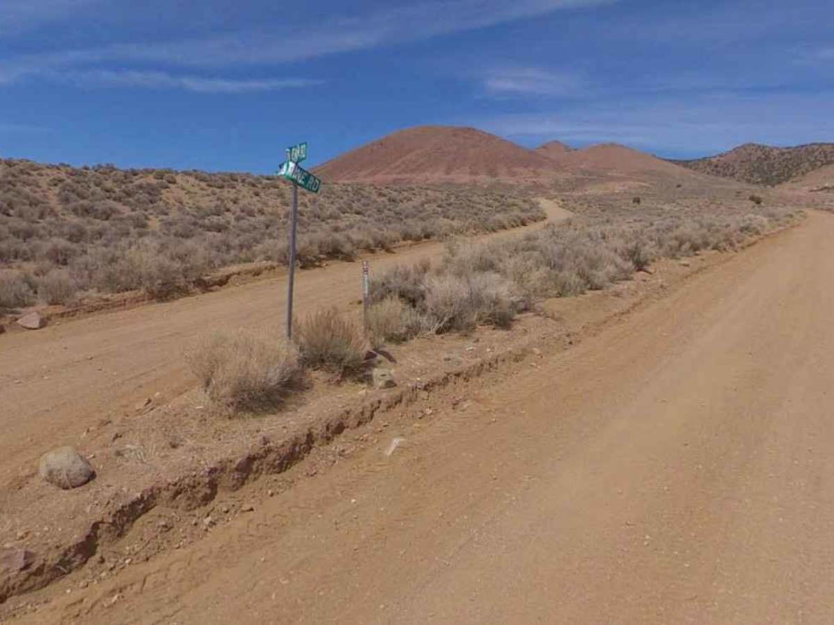 VCA Mine Road photo 2