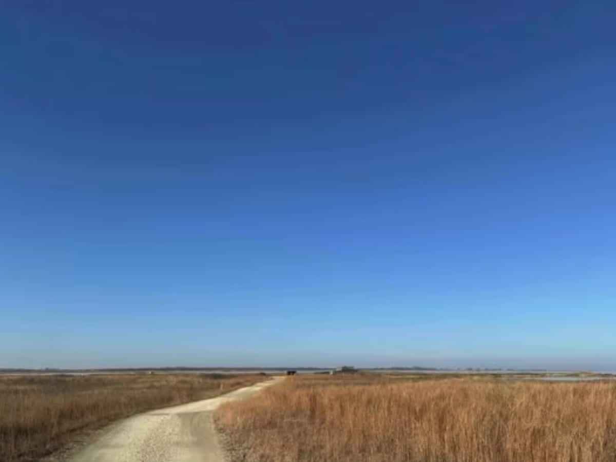 Little Salt Marsh Road photo 4