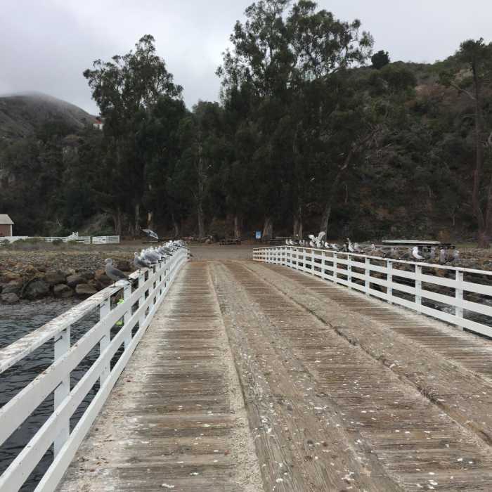 Near Santa Cruz Traverse