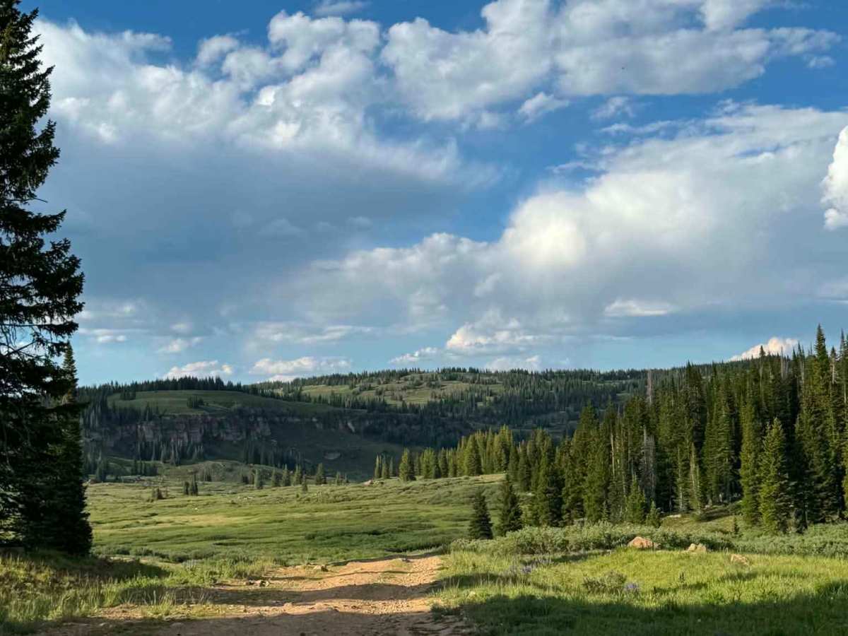 Transfer Trail Connect trail photo