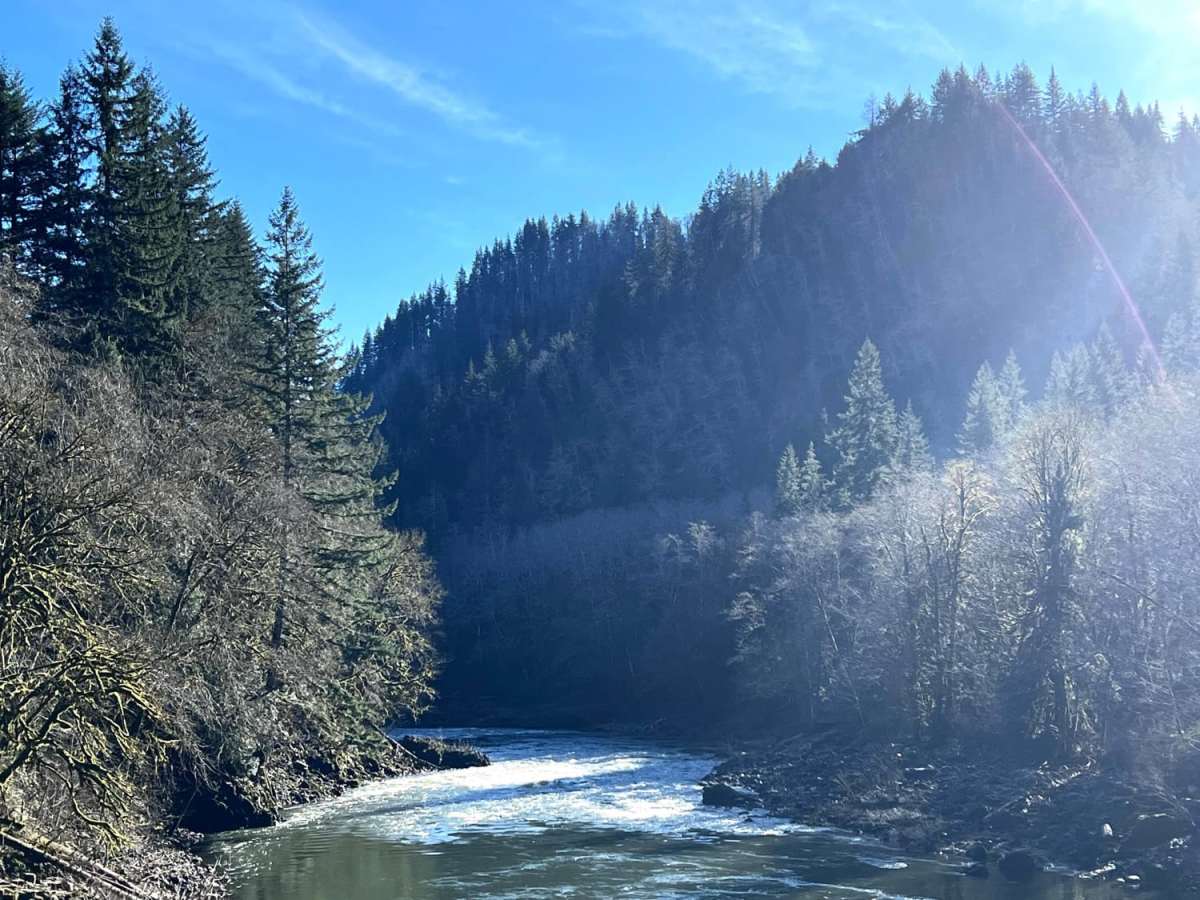 Lower Nehalem Road Beach Route photo 4