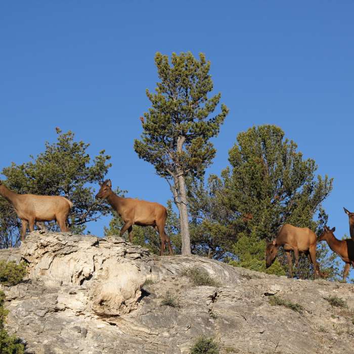Near Upper Terrace Loop Ski Trail