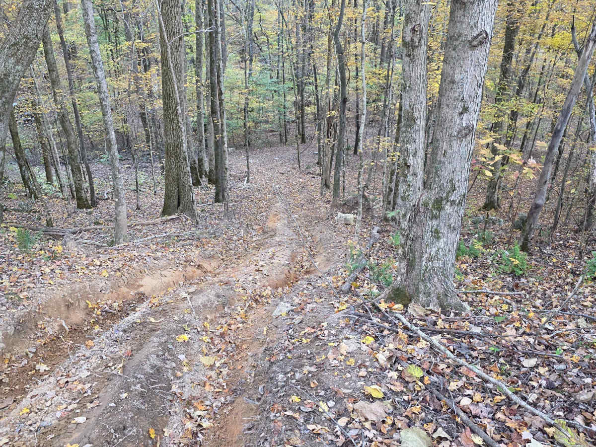 Maple Hill  photo 6