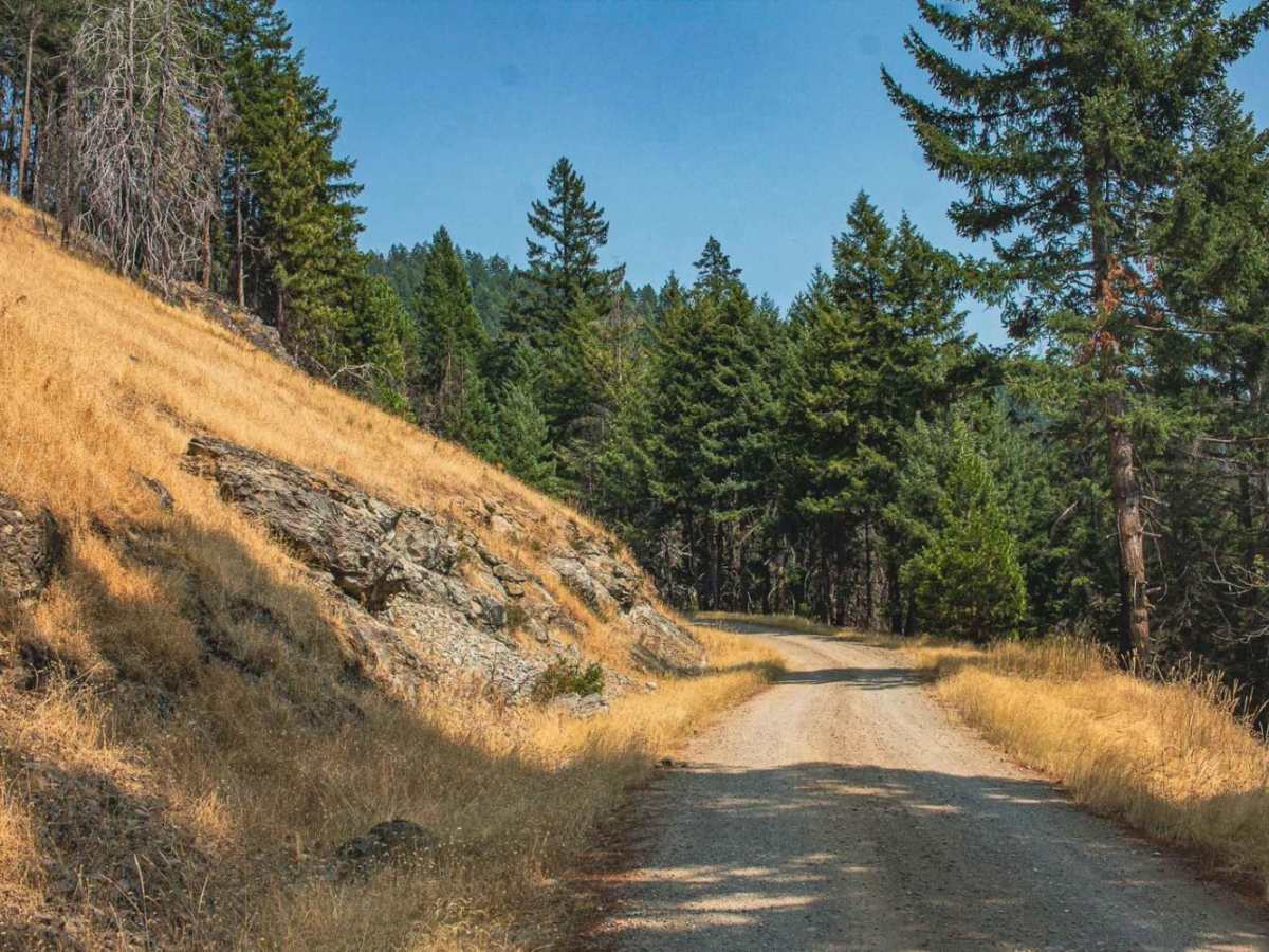 Grassy Ranch - Single Creek photo 5