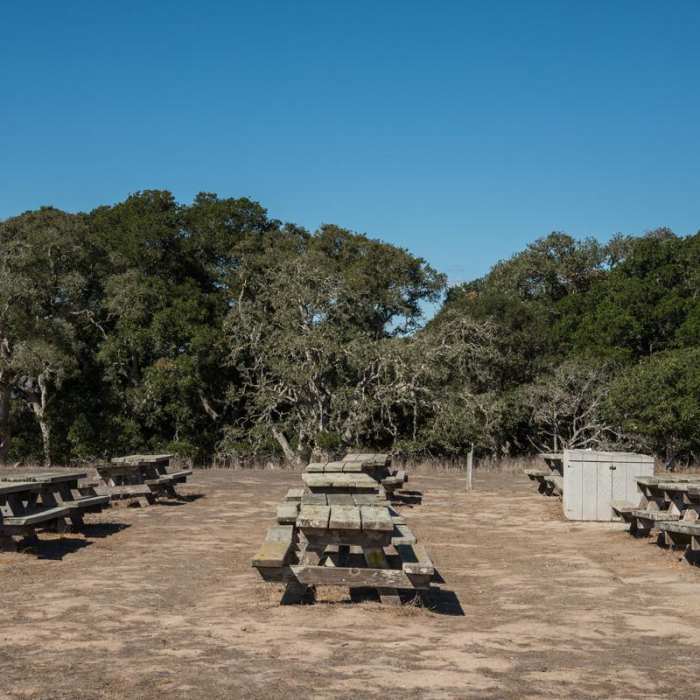 Near South Marsh Loop Near South Marsh Loop