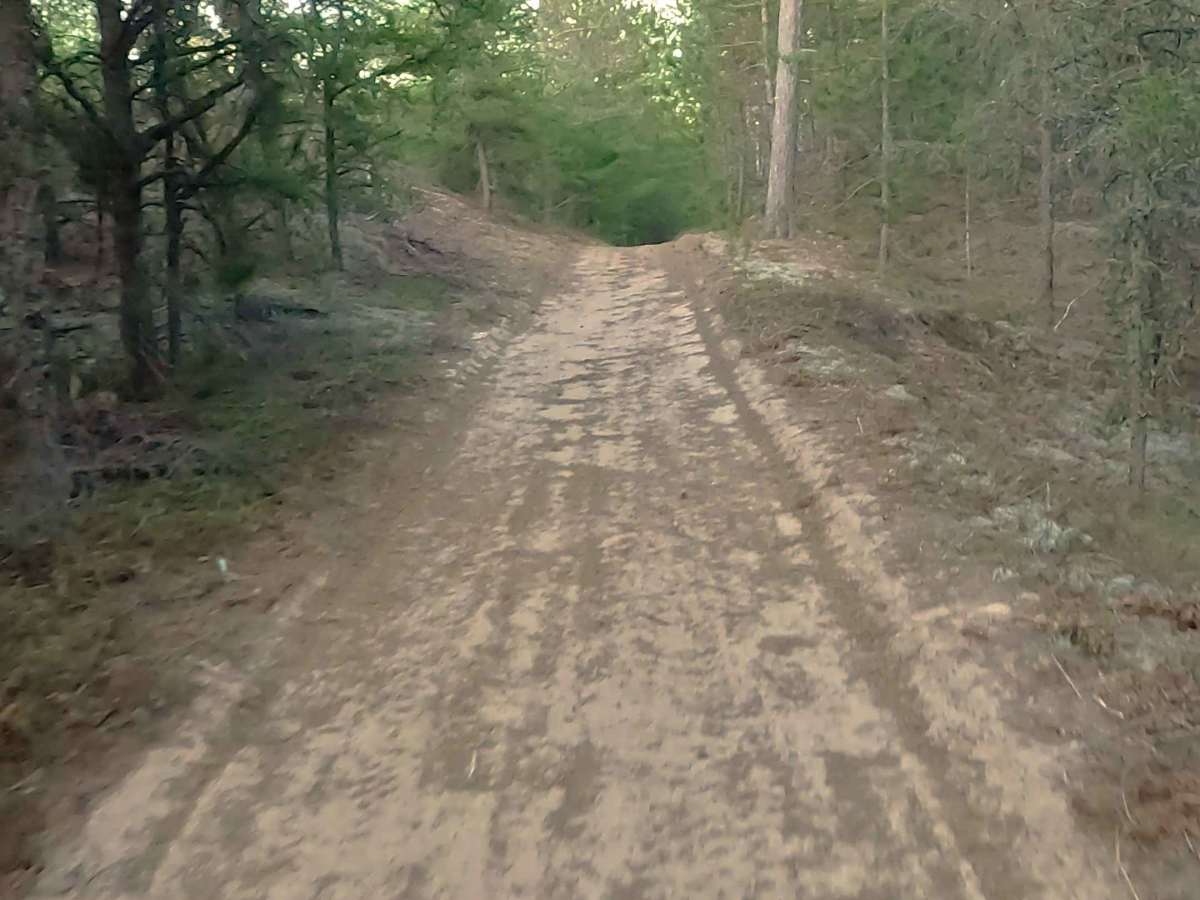  W Byrd Road photo 3