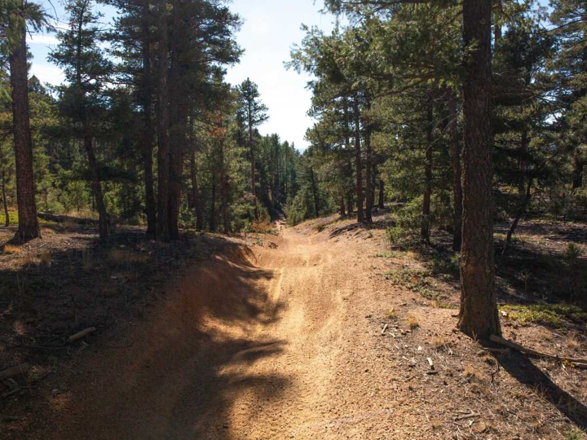Long Hollow 50-inch Trail (FS 650) trail photo