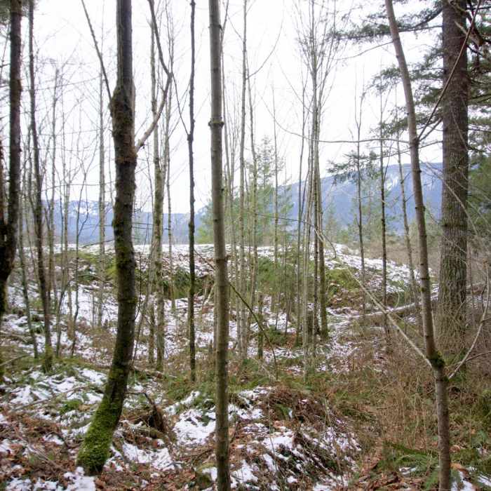 Near Boulder Gardens Loop