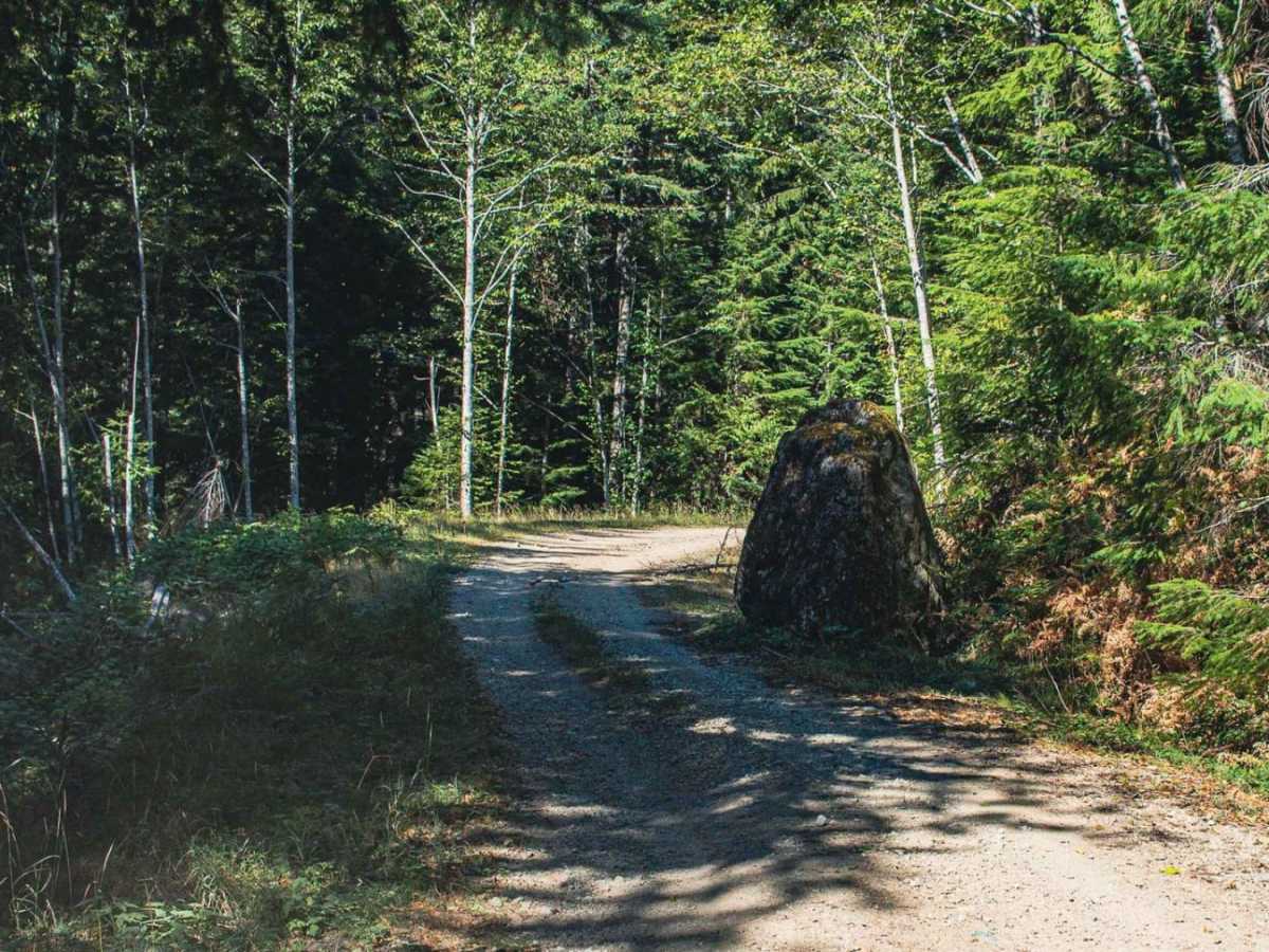 Dixon Mountain photo 3