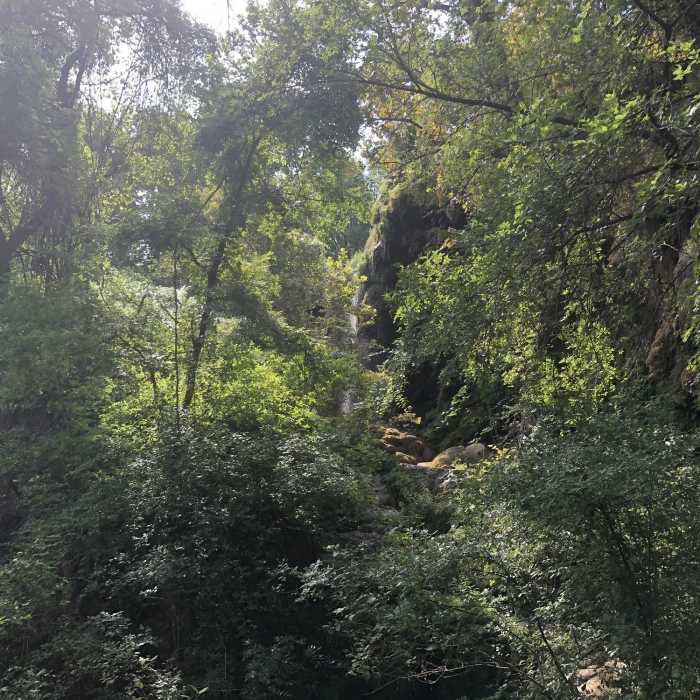 Near Gorman Spring Trail