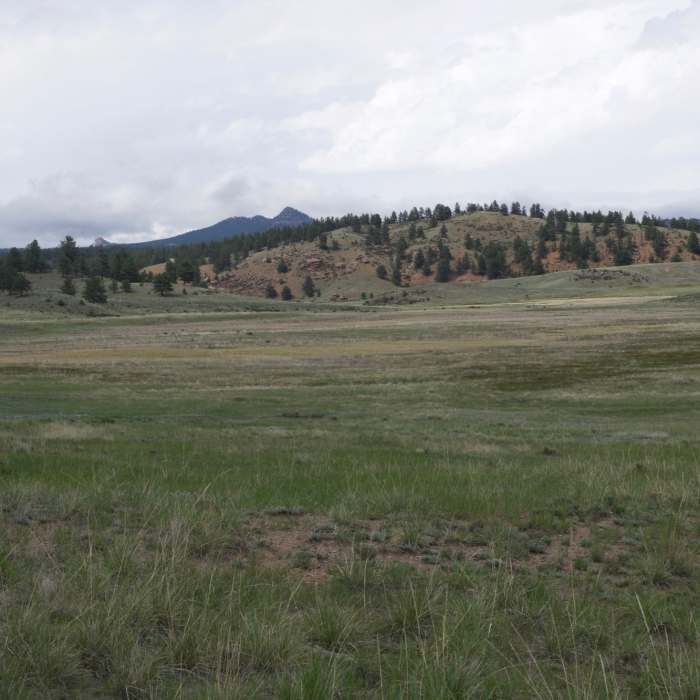 Near Scudder Pit Trail