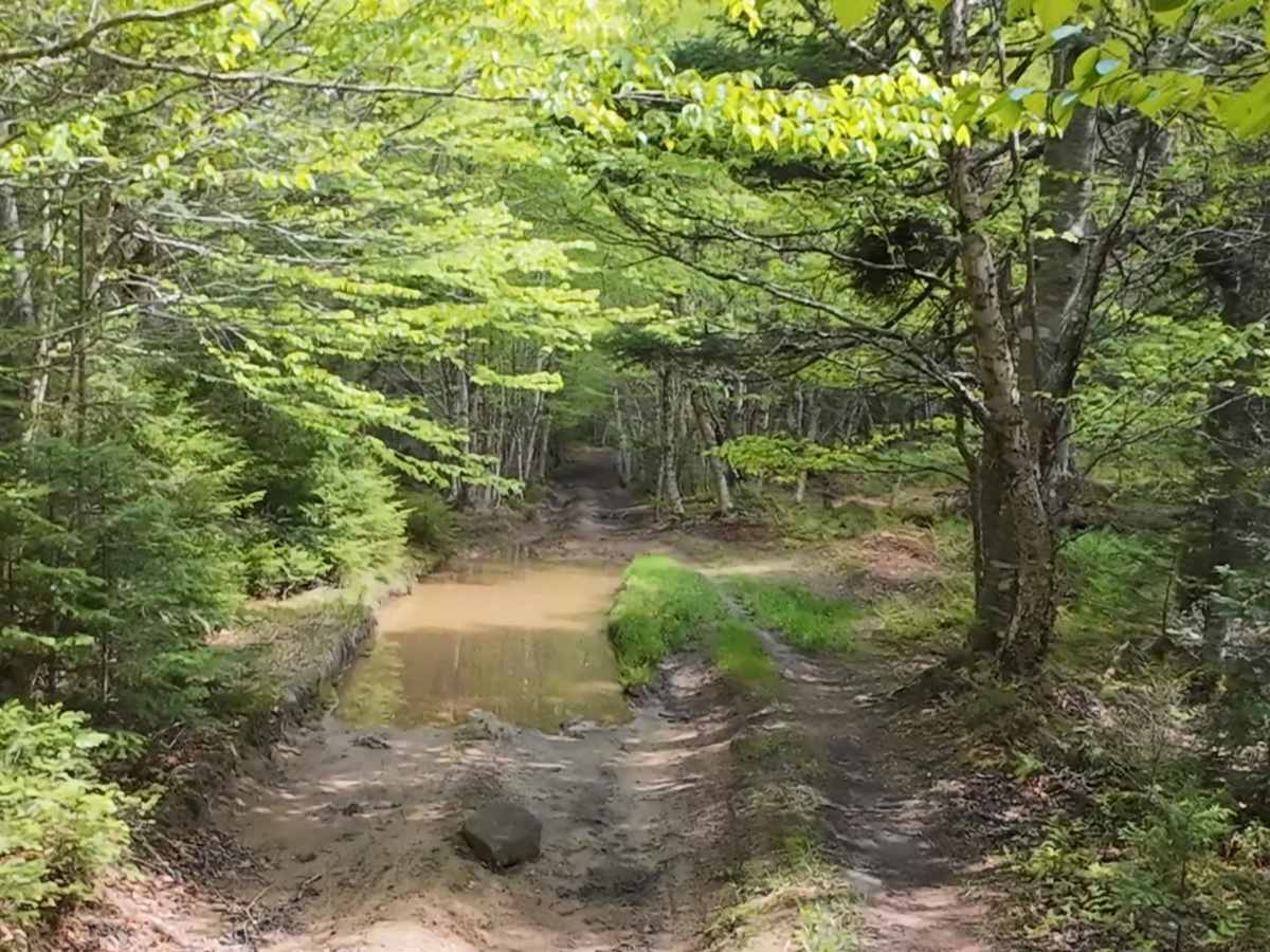 Beaumont Inland Trails photo 6