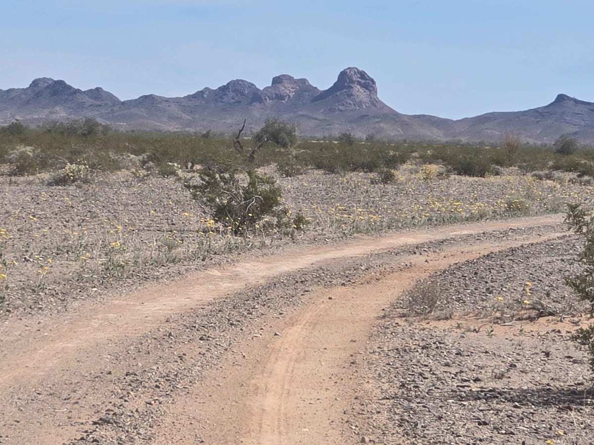 Long Way Around photo 6
