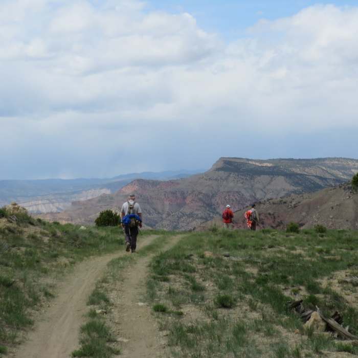 Near Sarlacc Trail