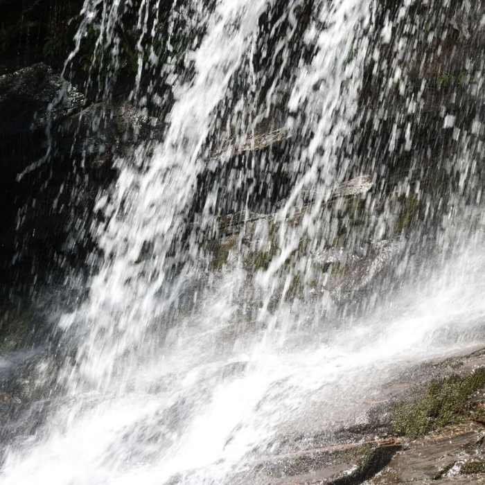 Near Cascades Trail #70