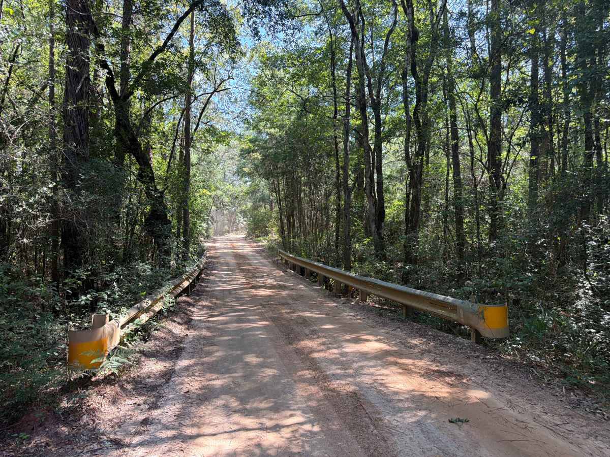 Shammah Road - FS J37 trail photo