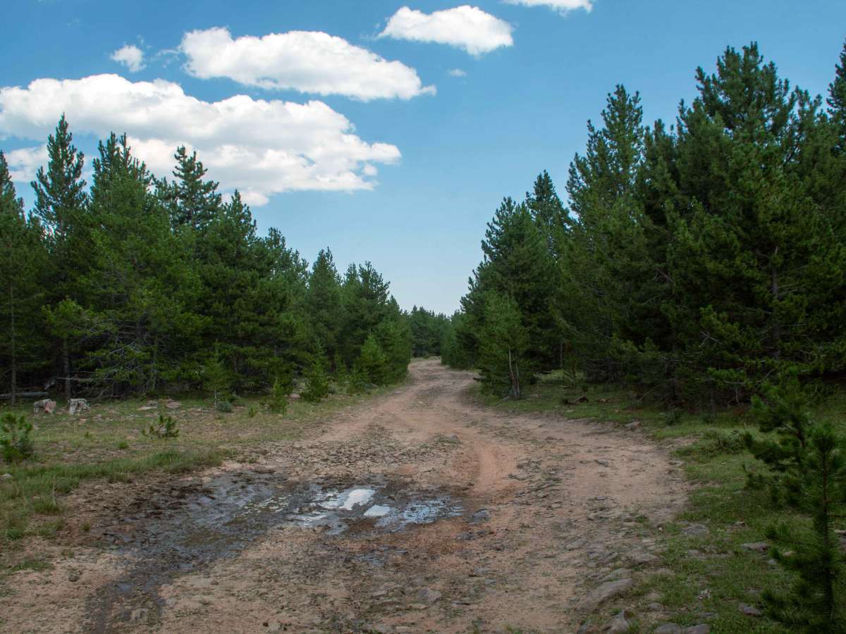 Ashley Twin Lakes Loop - FS 10027 photo 6