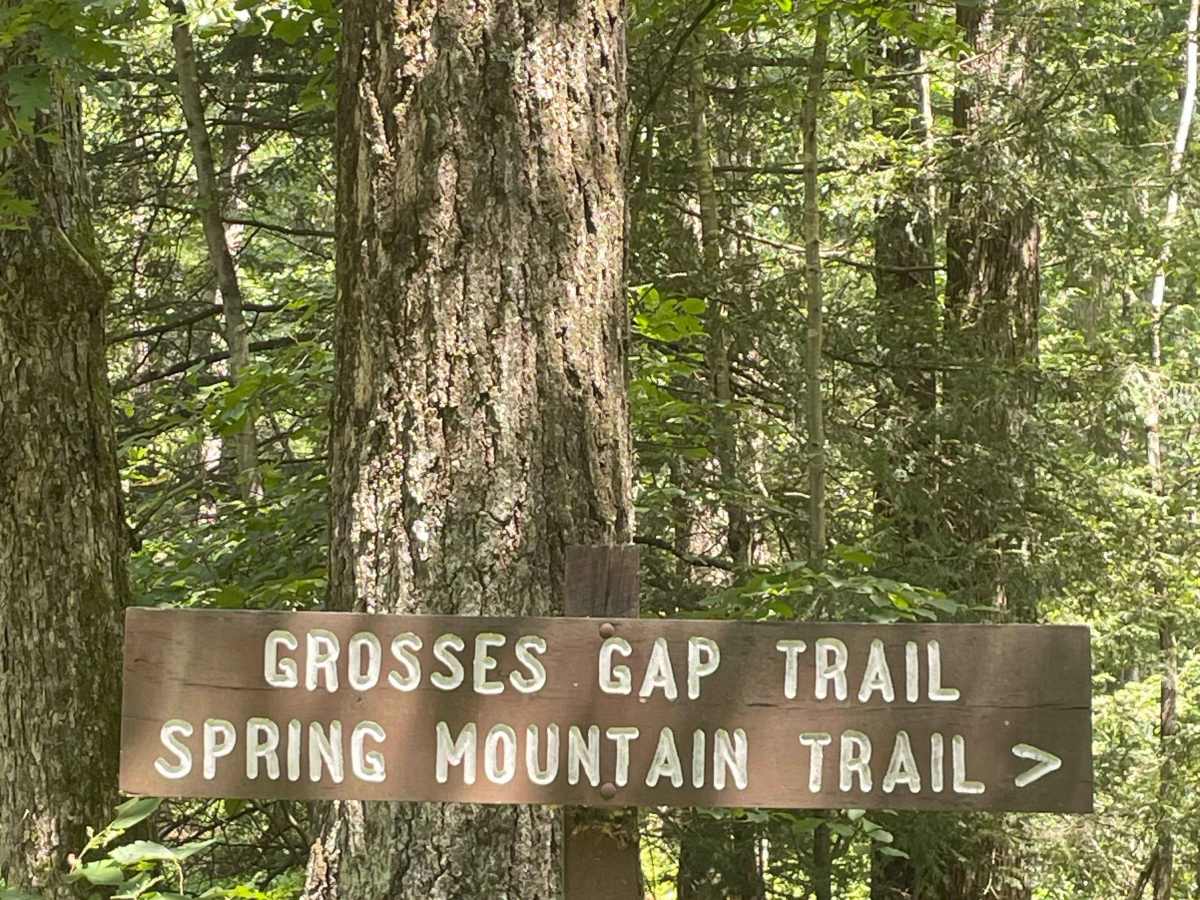 Spruce Run Road photo 4