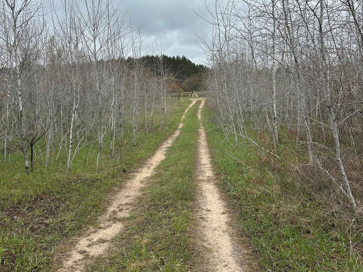 Post Road Cutover trail photo
