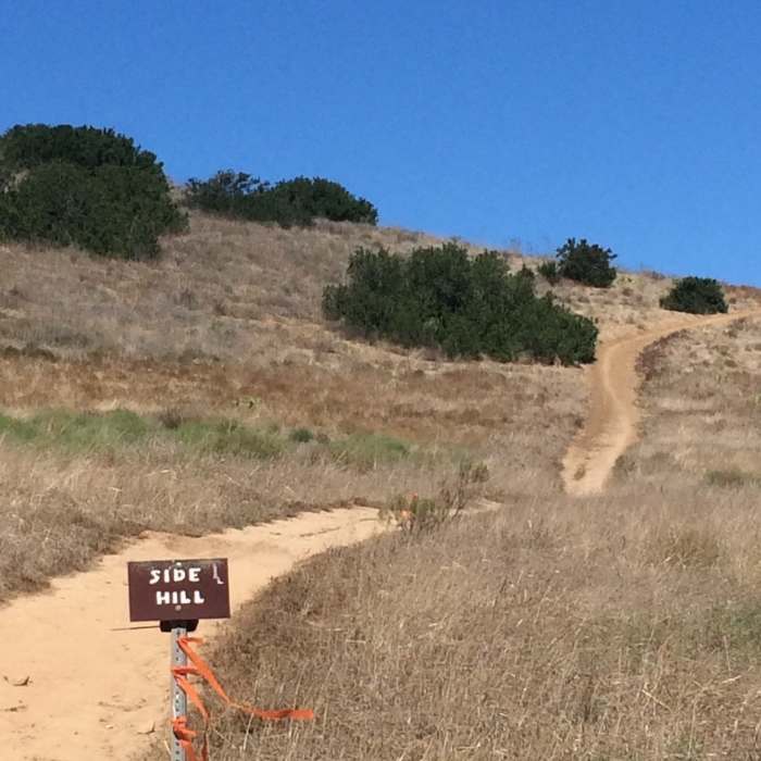 Near Penasquitos Creek Loop